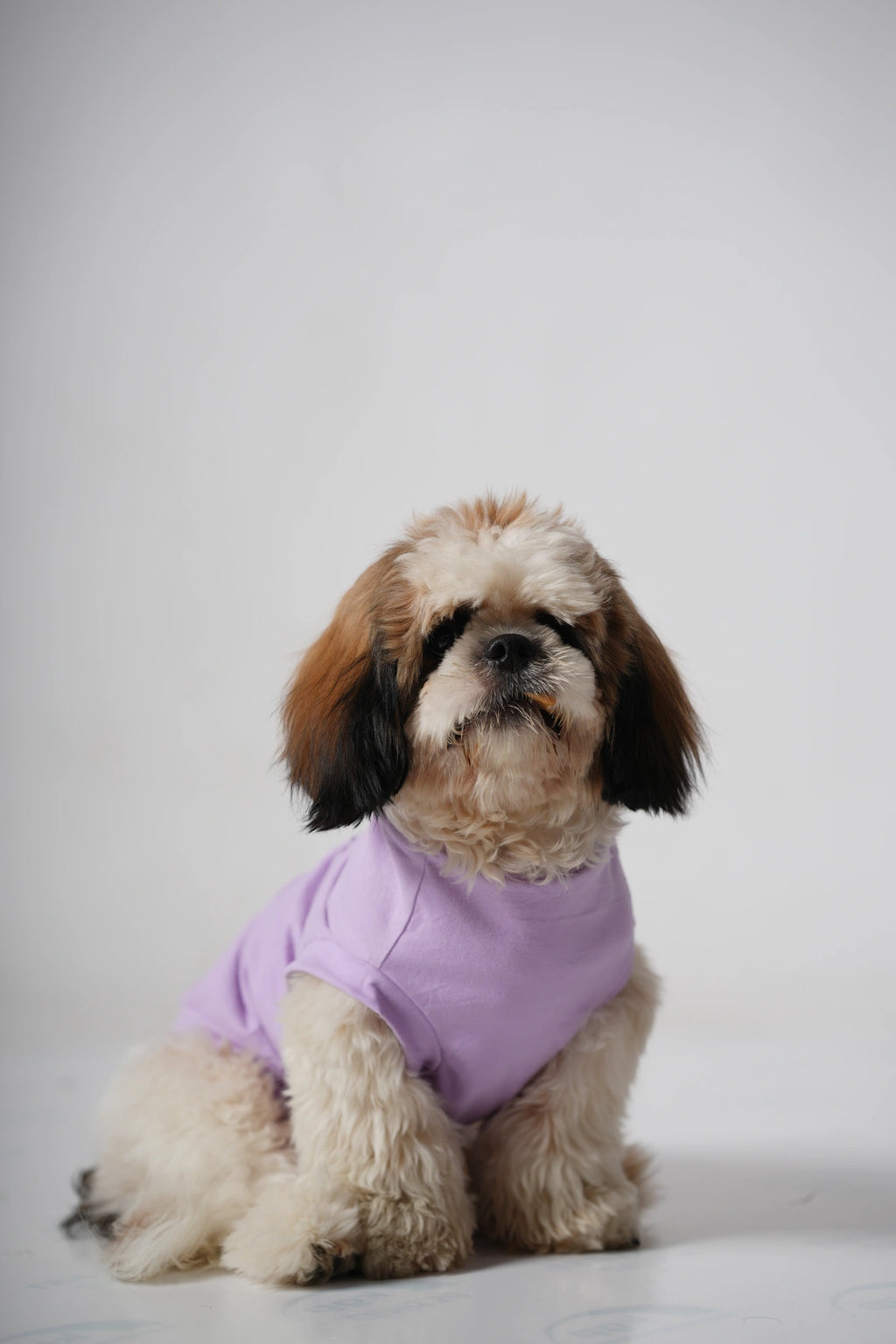 Thunder Tails EAT SLEEP TREAT REPEAT T-shirts