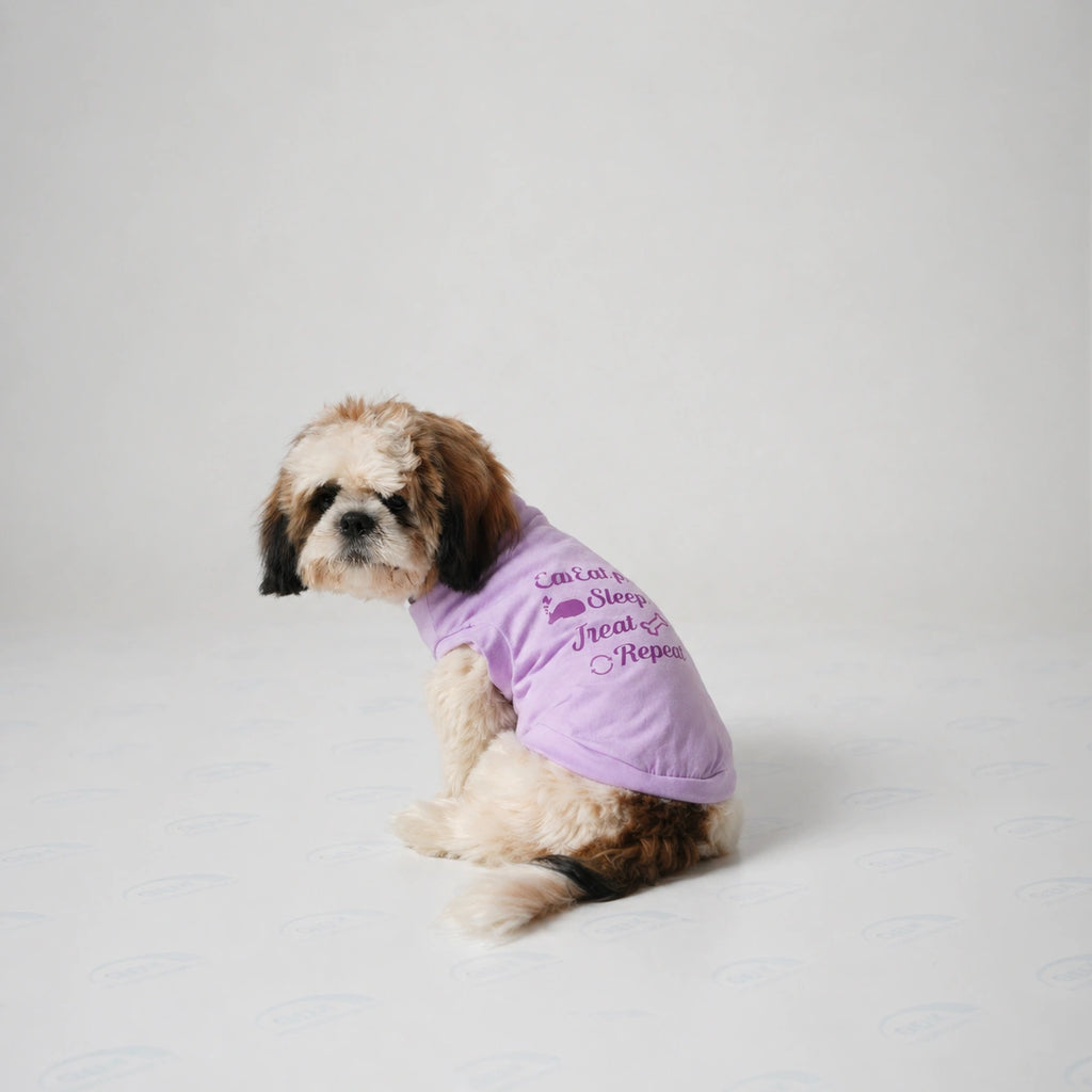 Thunder Tails EAT SLEEP TREAT REPEAT T-shirts