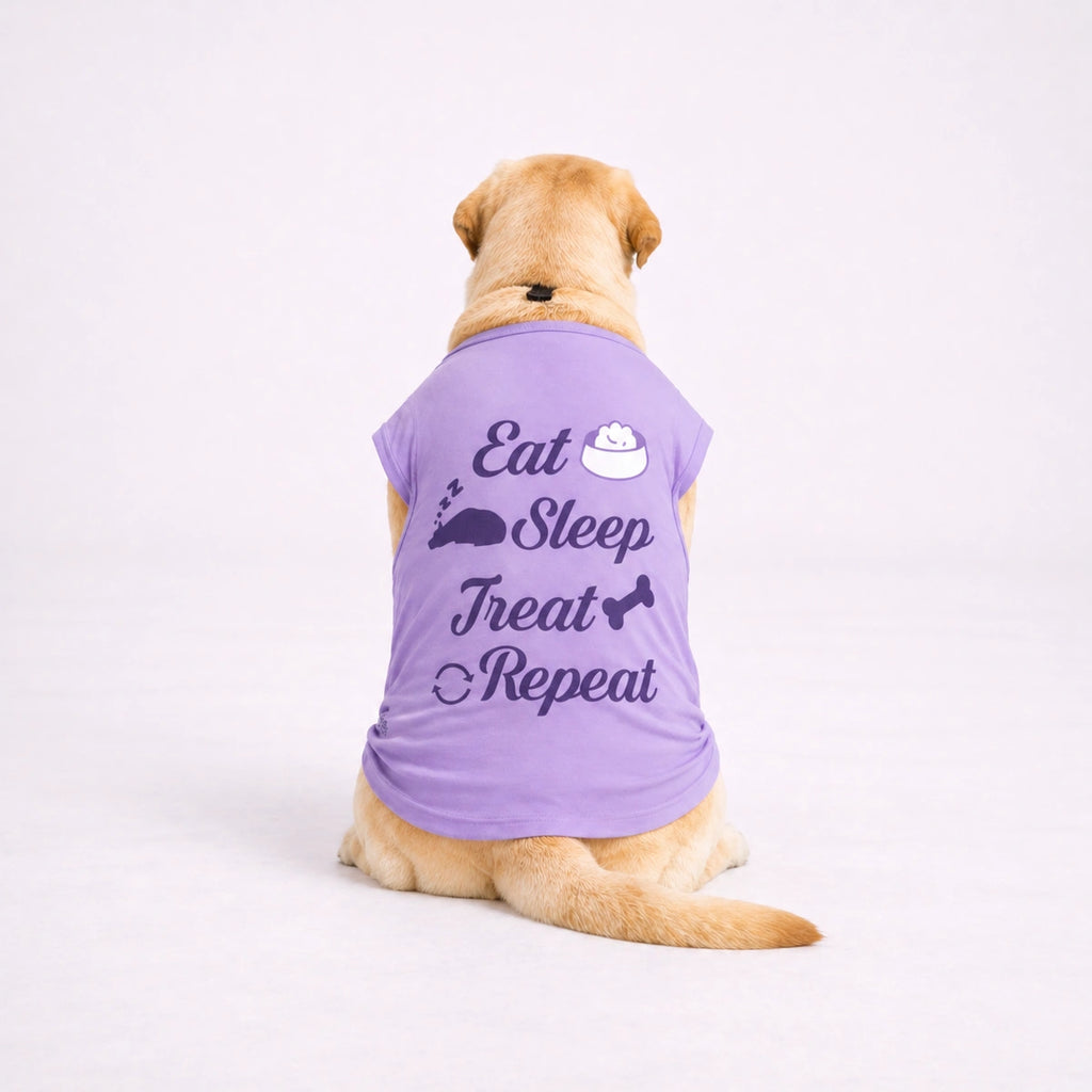 Thunder Tails EAT SLEEP TREAT REPEAT T-shirts