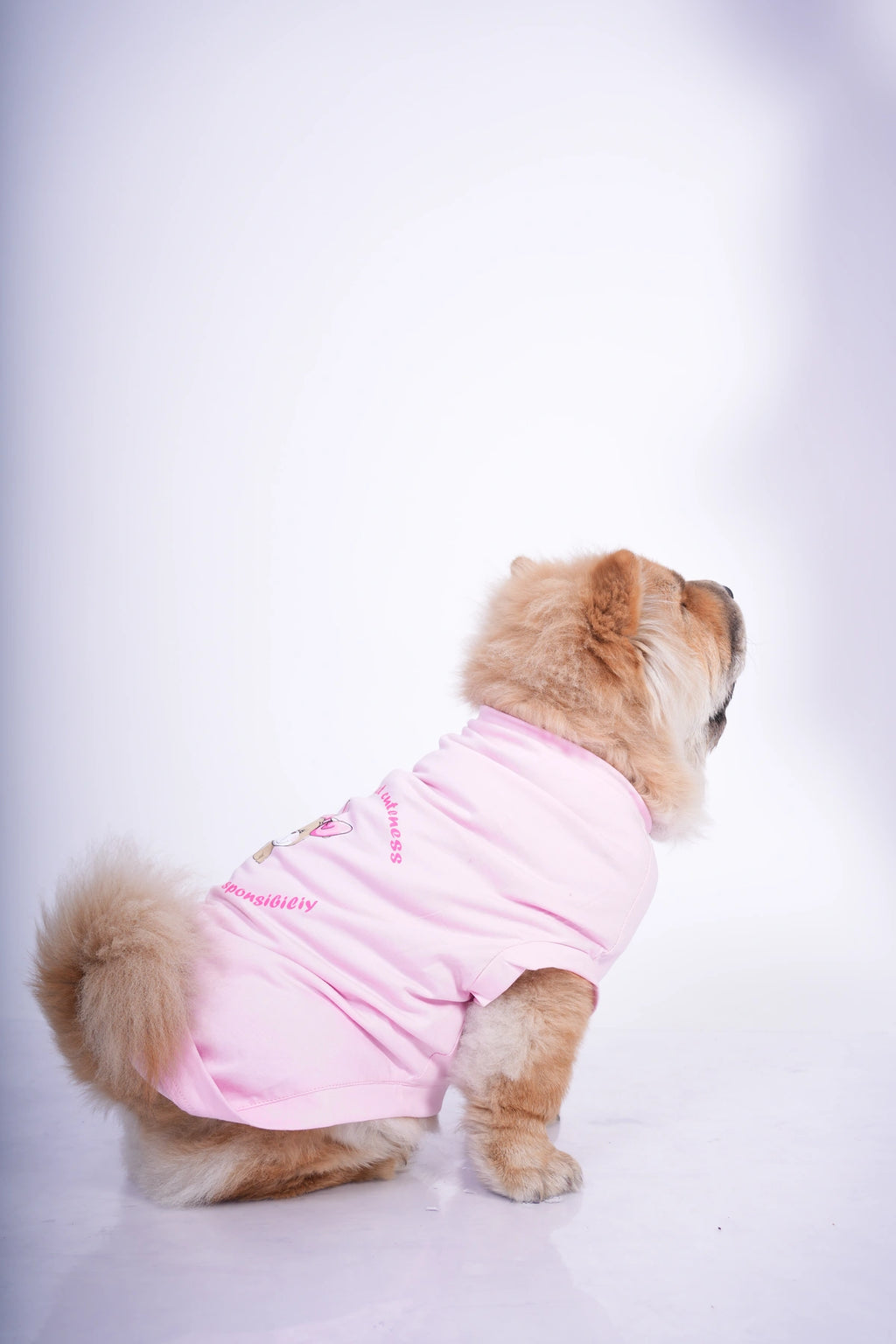 Thunder Tails WITH GREAT CUTENESS COMES NO RESPONSIBILITY T-shirts