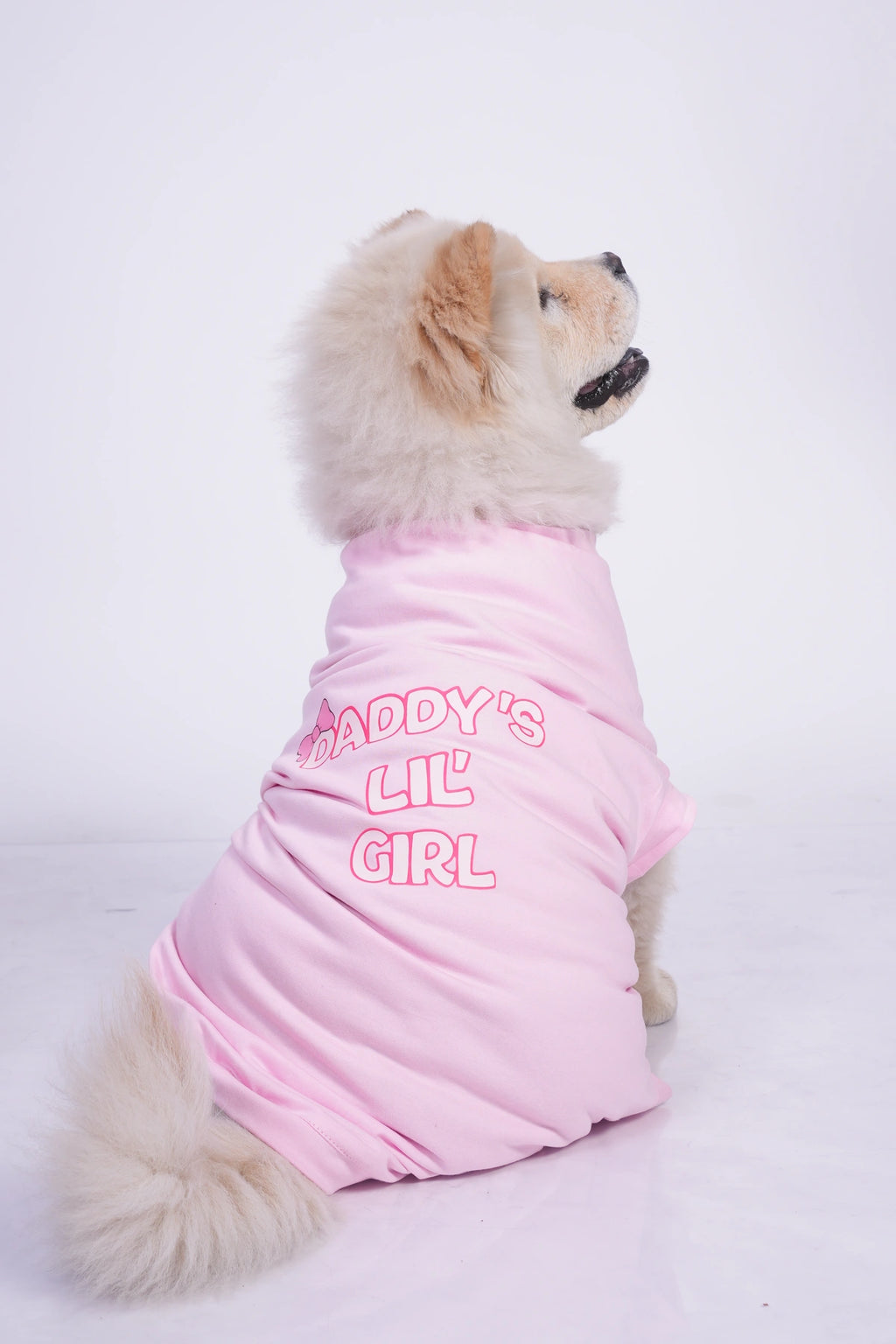 Thunder Tails DADDDY'S LIL' GIRL T-shirts