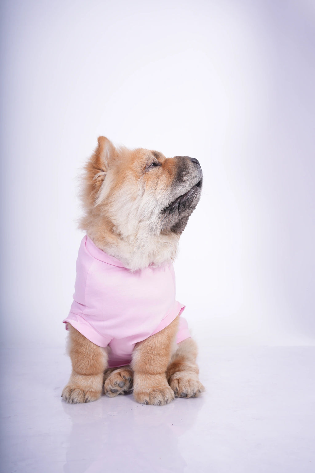 Thunder Tails WITH GREAT CUTENESS COMES NO RESPONSIBILITY T-shirts