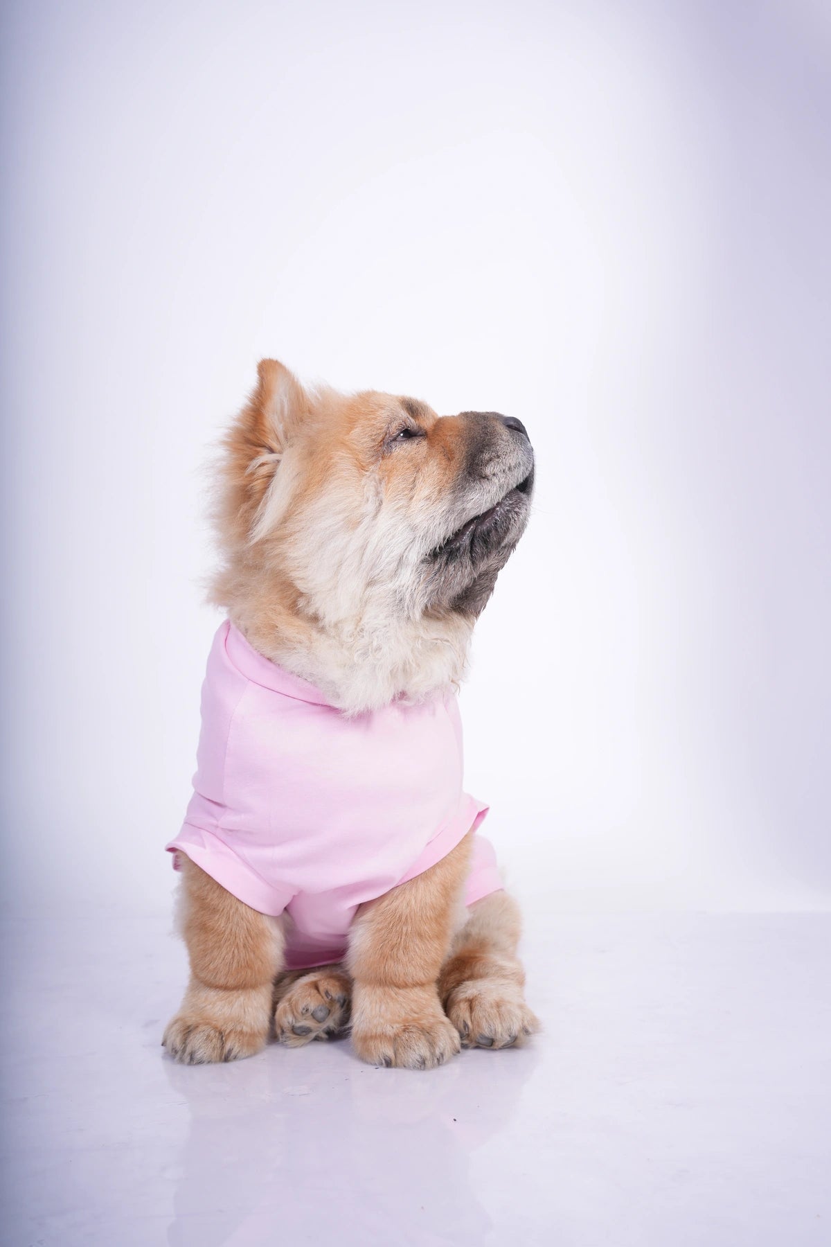 Thunder Tails WITH GREAT CUTENESS COMES NO RESPONSIBILITY T-shirts