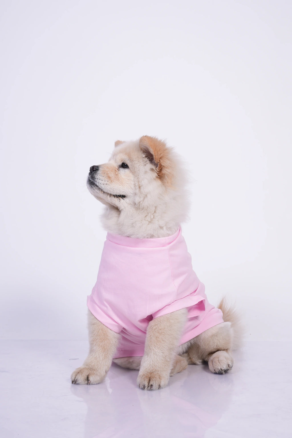 Thunder Tails DADDDY'S LIL' GIRL T-shirts