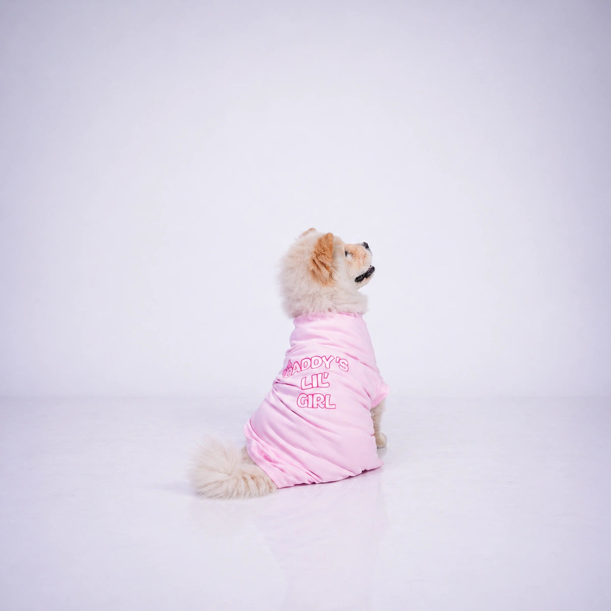 Thunder Tails DADDY'S LIL' GIRL T-shirts