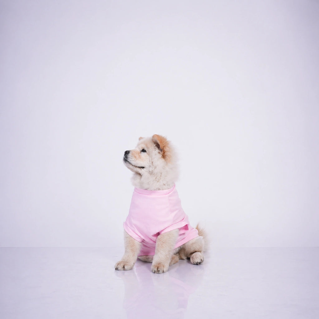 Thunder Tails DADDY'S LIL' GIRL T-shirts