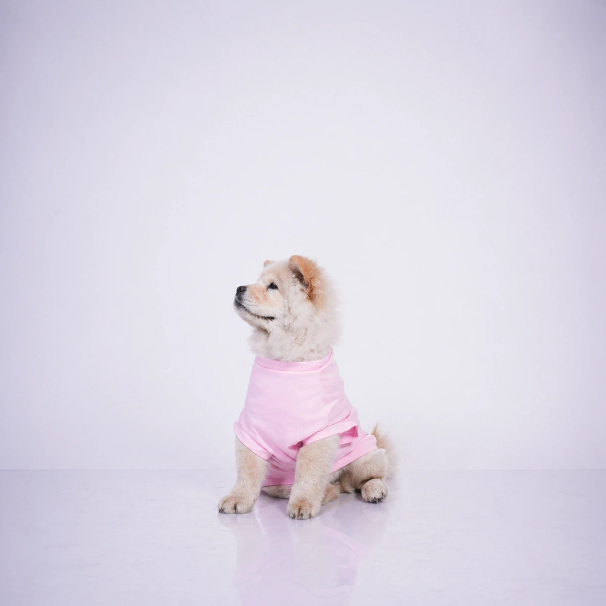 Thunder Tails DADDY'S LIL' GIRL T-shirts