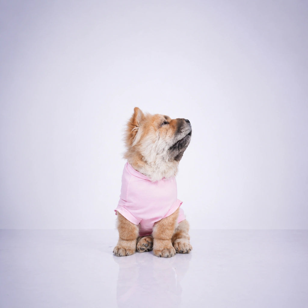 Thunder Tails WITH GREAT CUTENESS COMES NO RESPONSIBILITY T-shirts