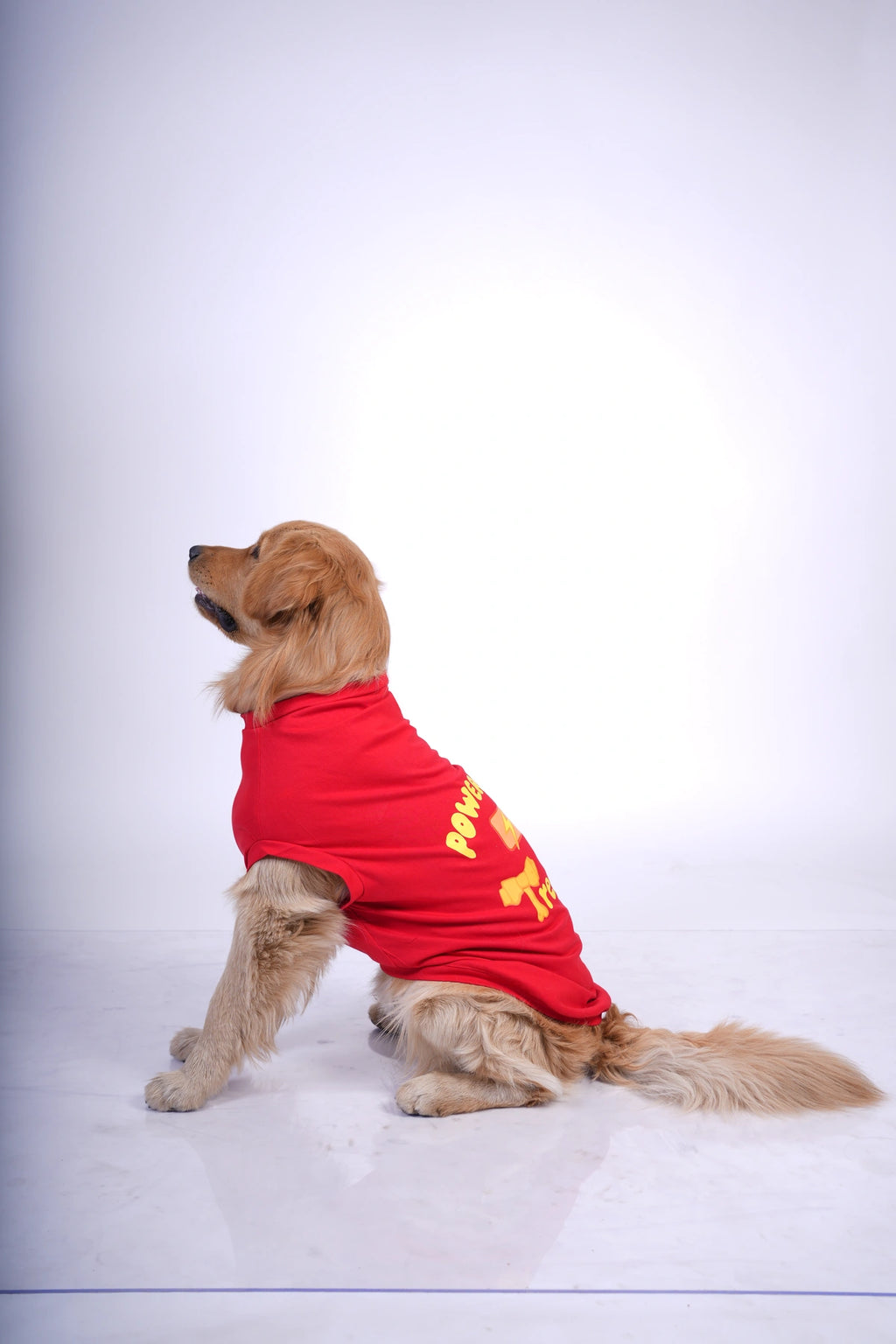 Thunder Tails POWERED BY TREATS T-shirts