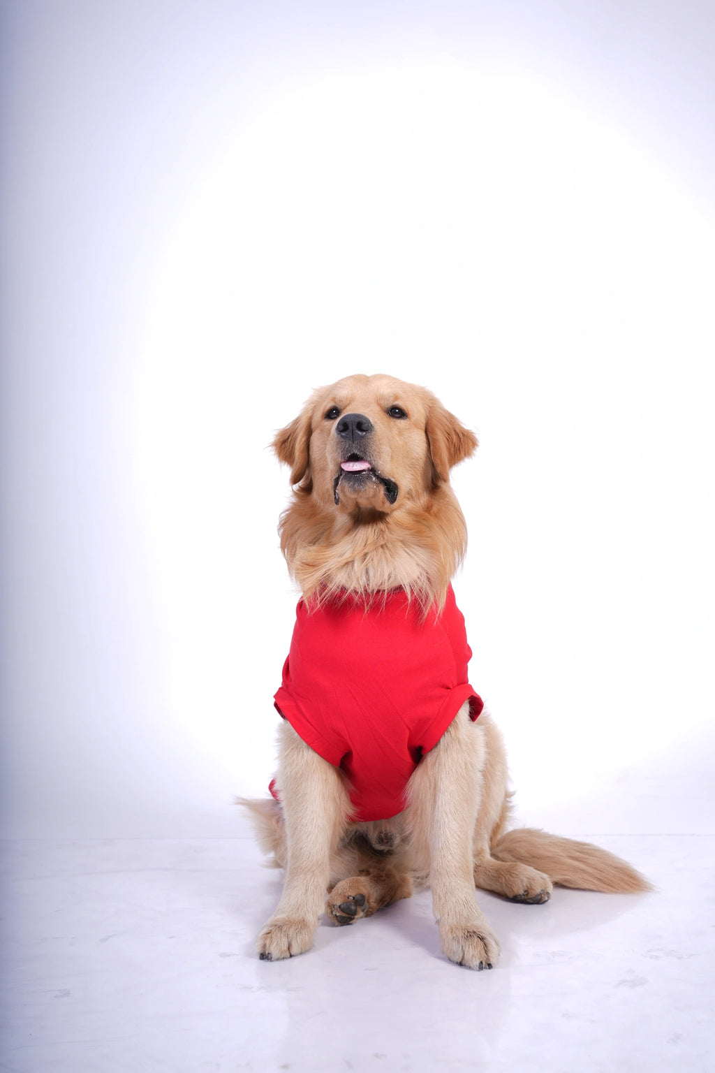 Thunder Tails POWERED BY TREATS T-shirts