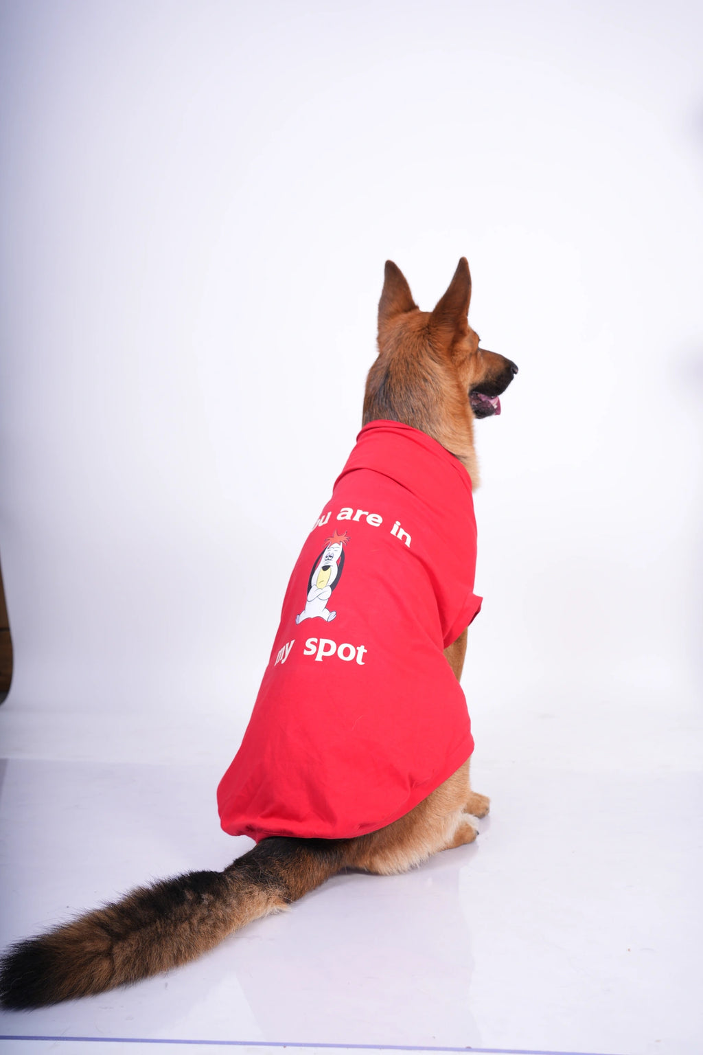 Thunder Tails YOU ARE IN MY SPOT T-shirts