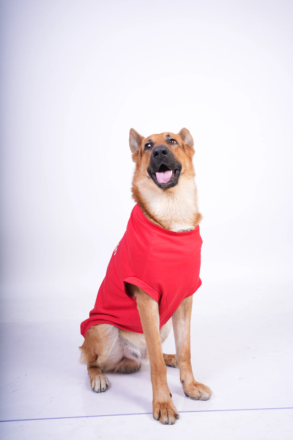 Thunder Tails YOU ARE IN MY SPOT T-shirts