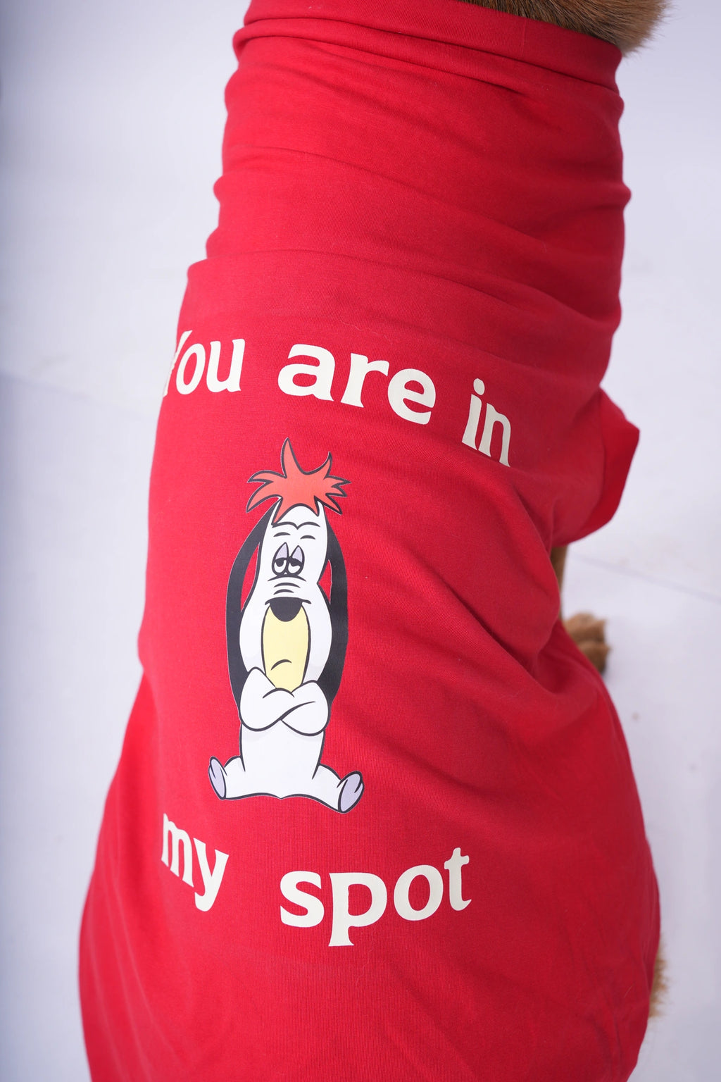 Thunder Tails YOU ARE IN MY SPOT T-shirts