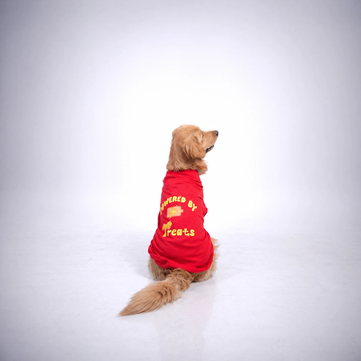 Thunder Tails POWERED BY TREATS T-shirts