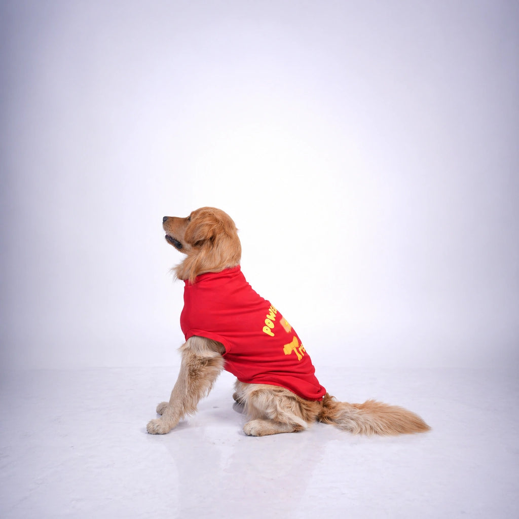 Thunder Tails POWERED BY TREATS T-shirts