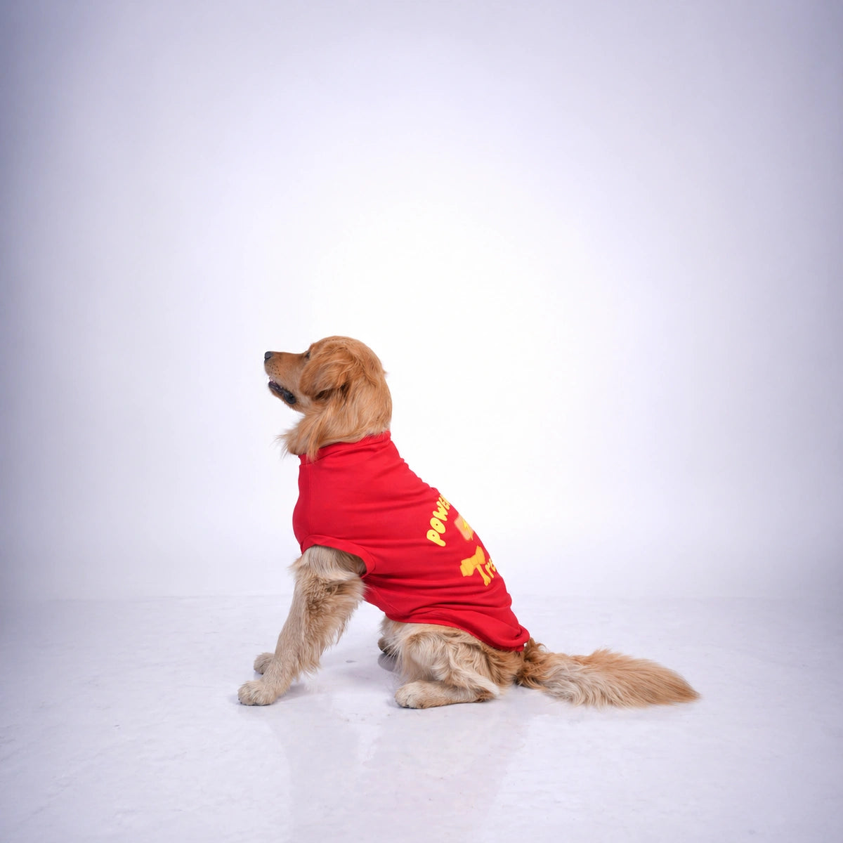 Thunder Tails POWERED BY TREATS T-shirts