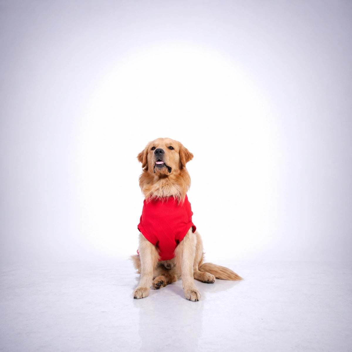 Thunder Tails POWERED BY TREATS T-shirts
