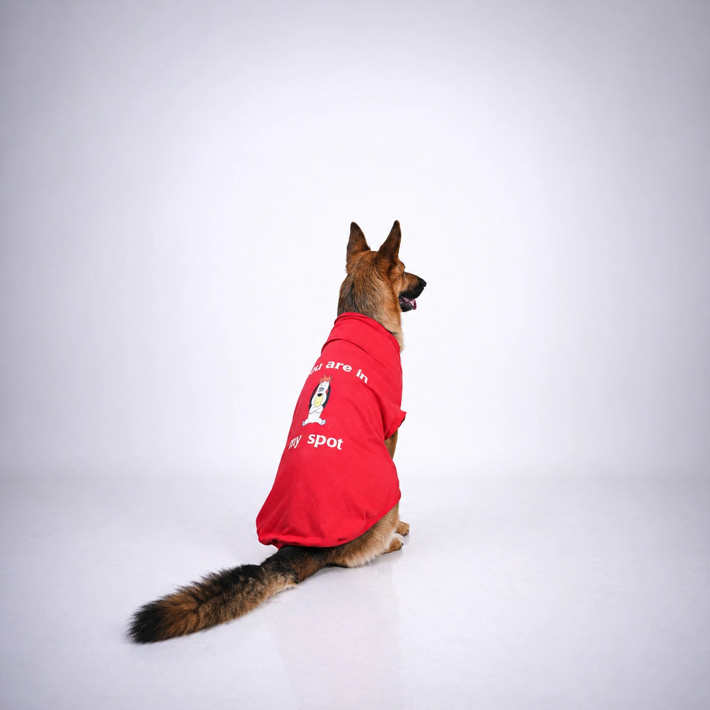 Thunder Tails YOU ARE IN MY SPOT T-shirts