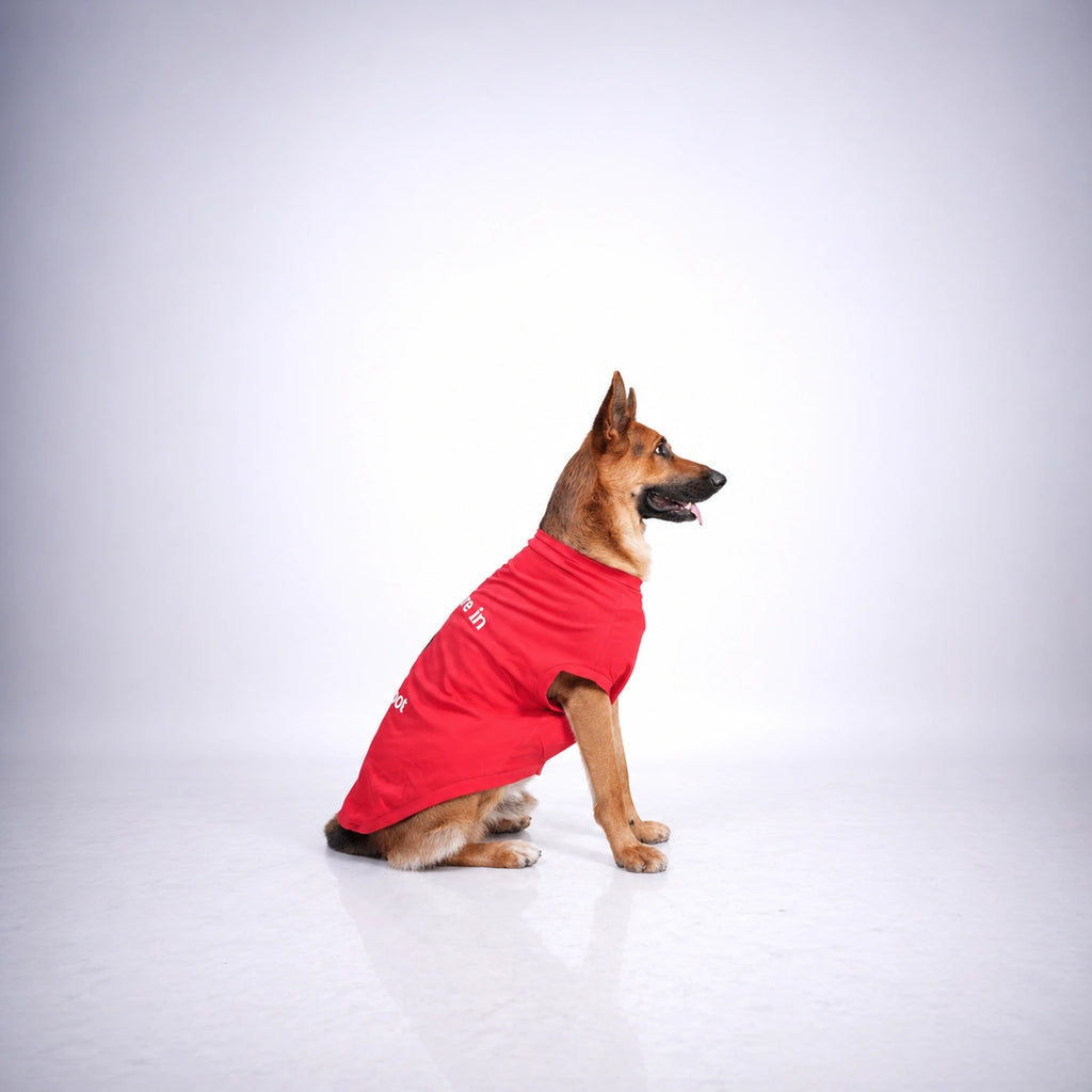Thunder Tails YOU ARE IN MY SPOT T-shirts