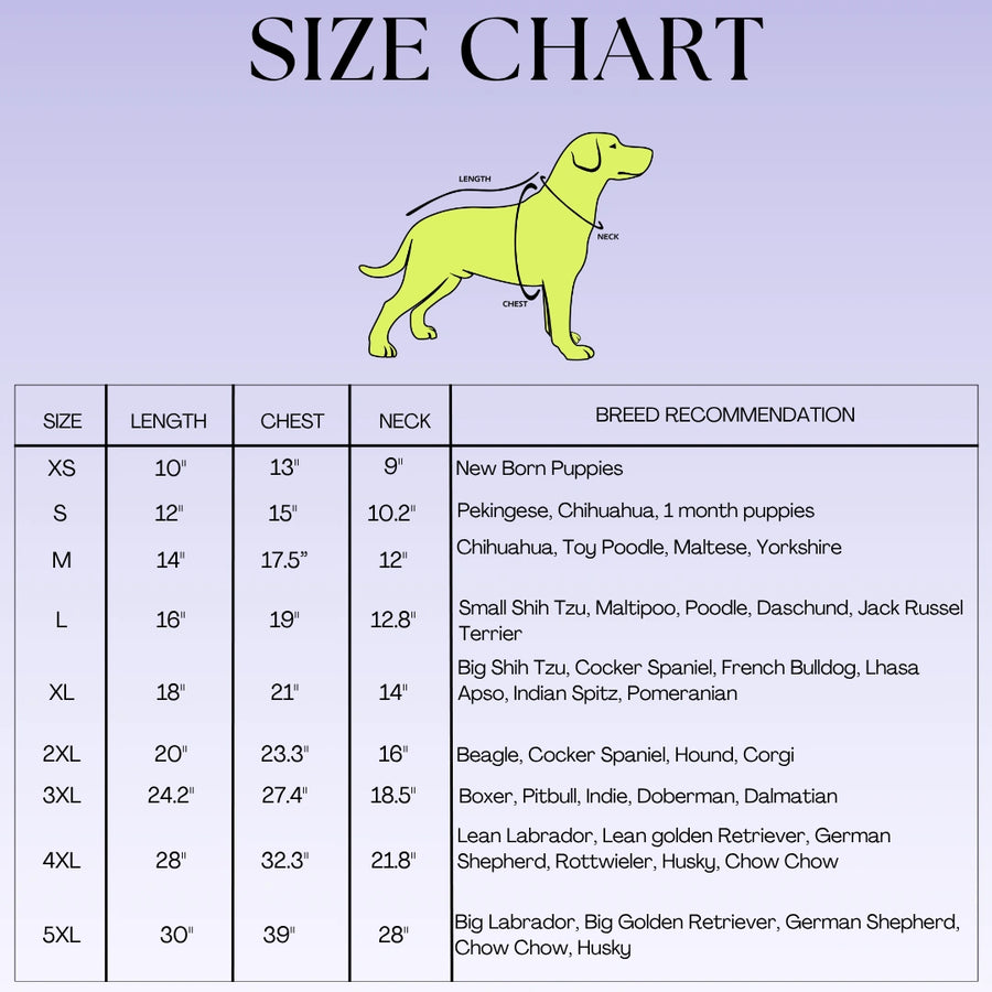Dog Size Chart