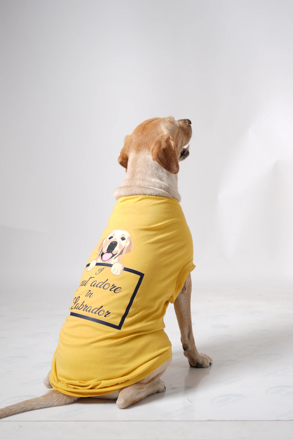 Thunder Tails I PUT ADORE IN LABRADOR T-shirts