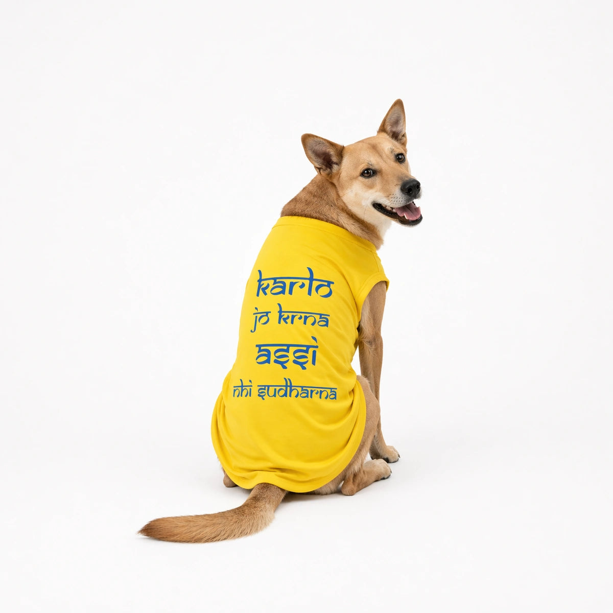 Thunder Tails KARLO JO KRNA, ASSI NHI SUDHARNA T-shirts