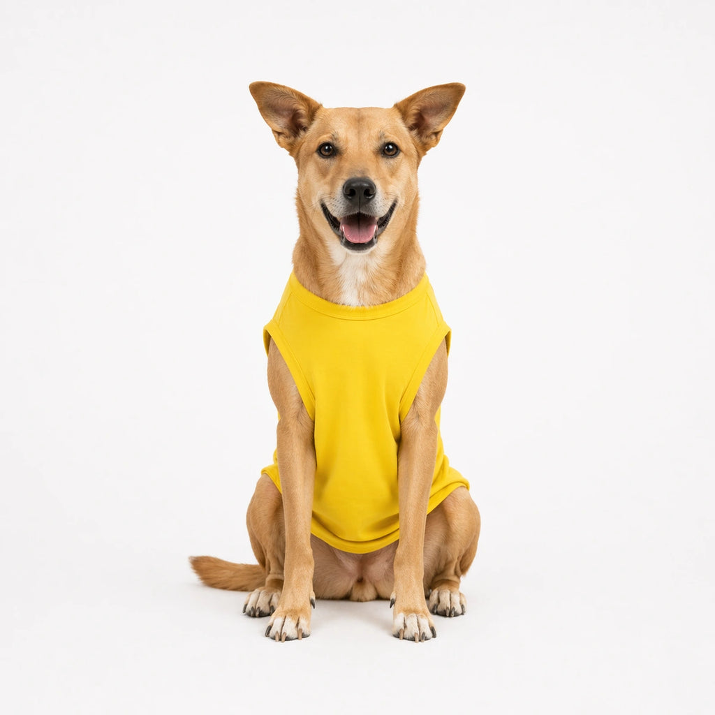Thunder Tails KARLO JO KRNA, ASSI NHI SUDHARNA T-shirts