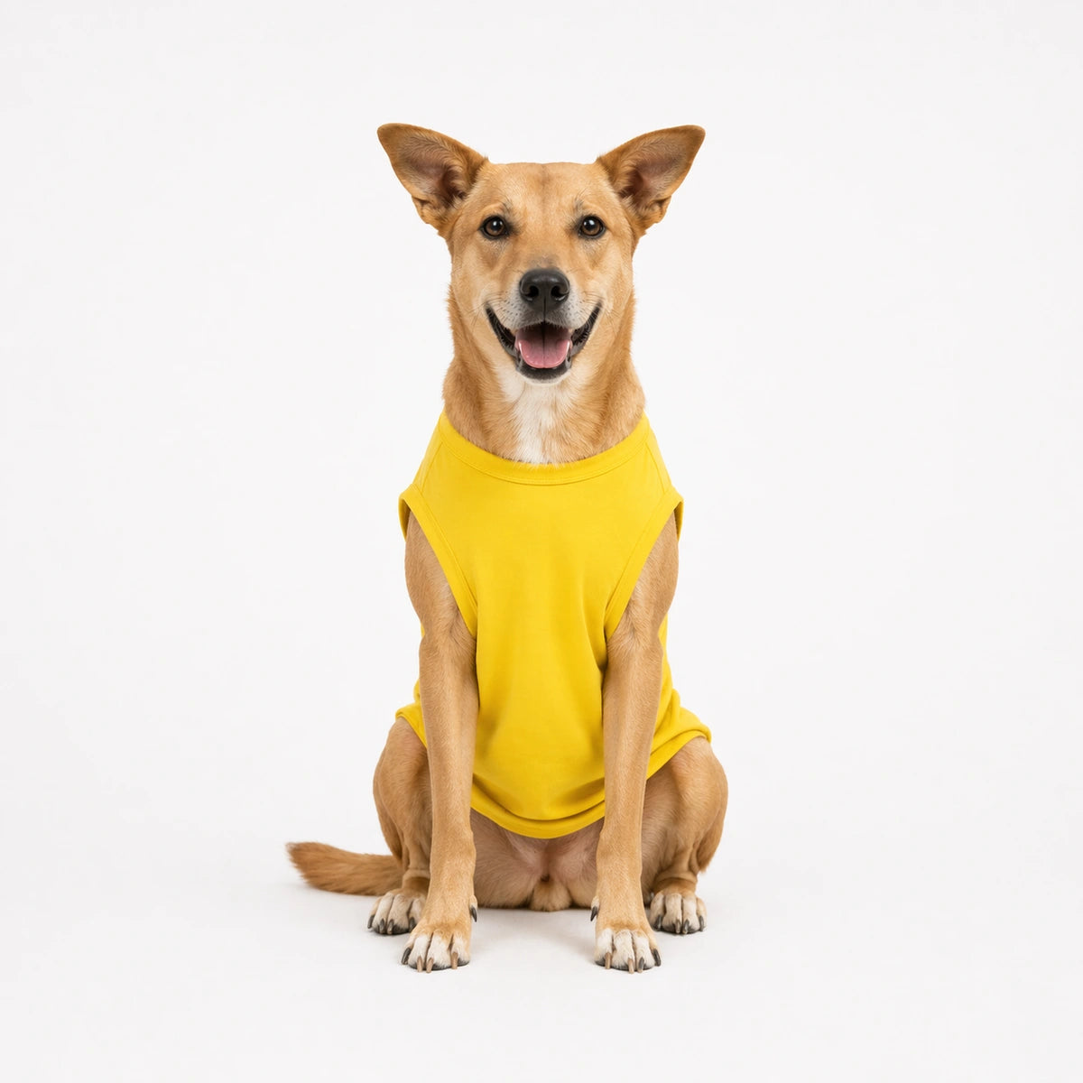 Thunder Tails KARLO JO KRNA, ASSI NHI SUDHARNA T-shirts