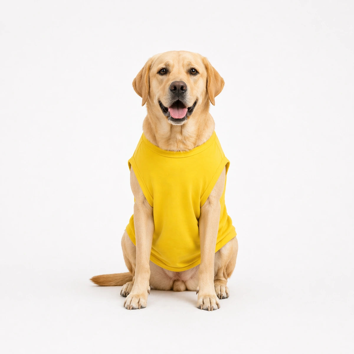 Thunder Tails KARLO JO KRNA, ASSI NHI SUDHARNA T-shirts