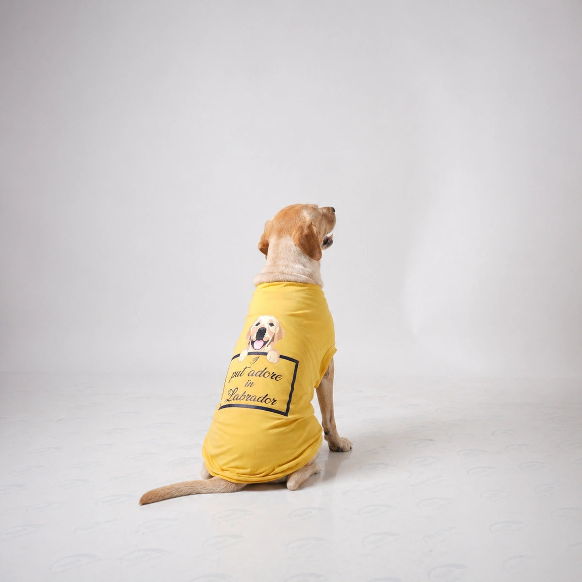 Thunder Tails I PUT ADORE IN LABRADOR T-shirts