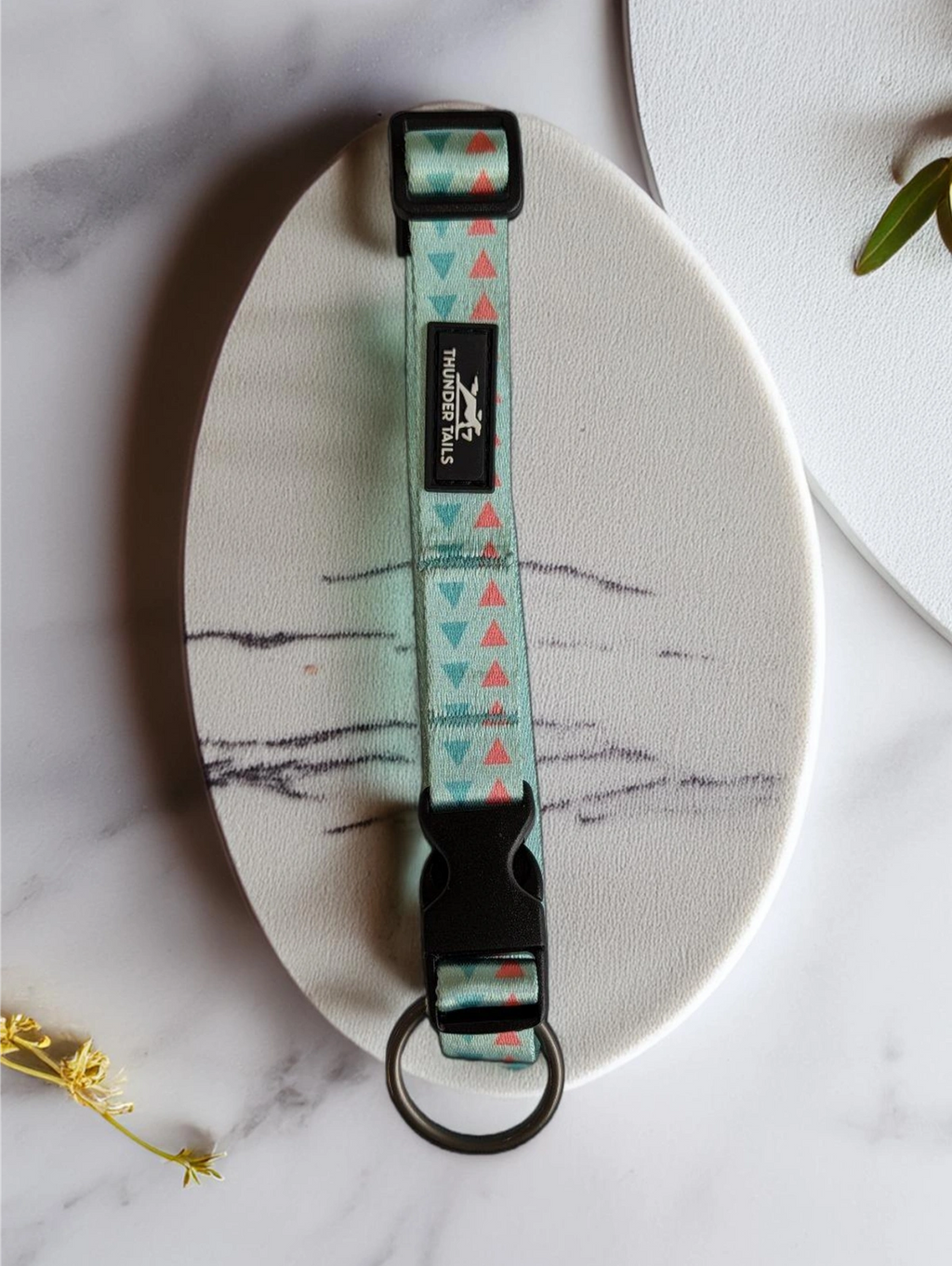 Thunder Tails Elite Nylon Printed Collars- Green/Pink Triangles