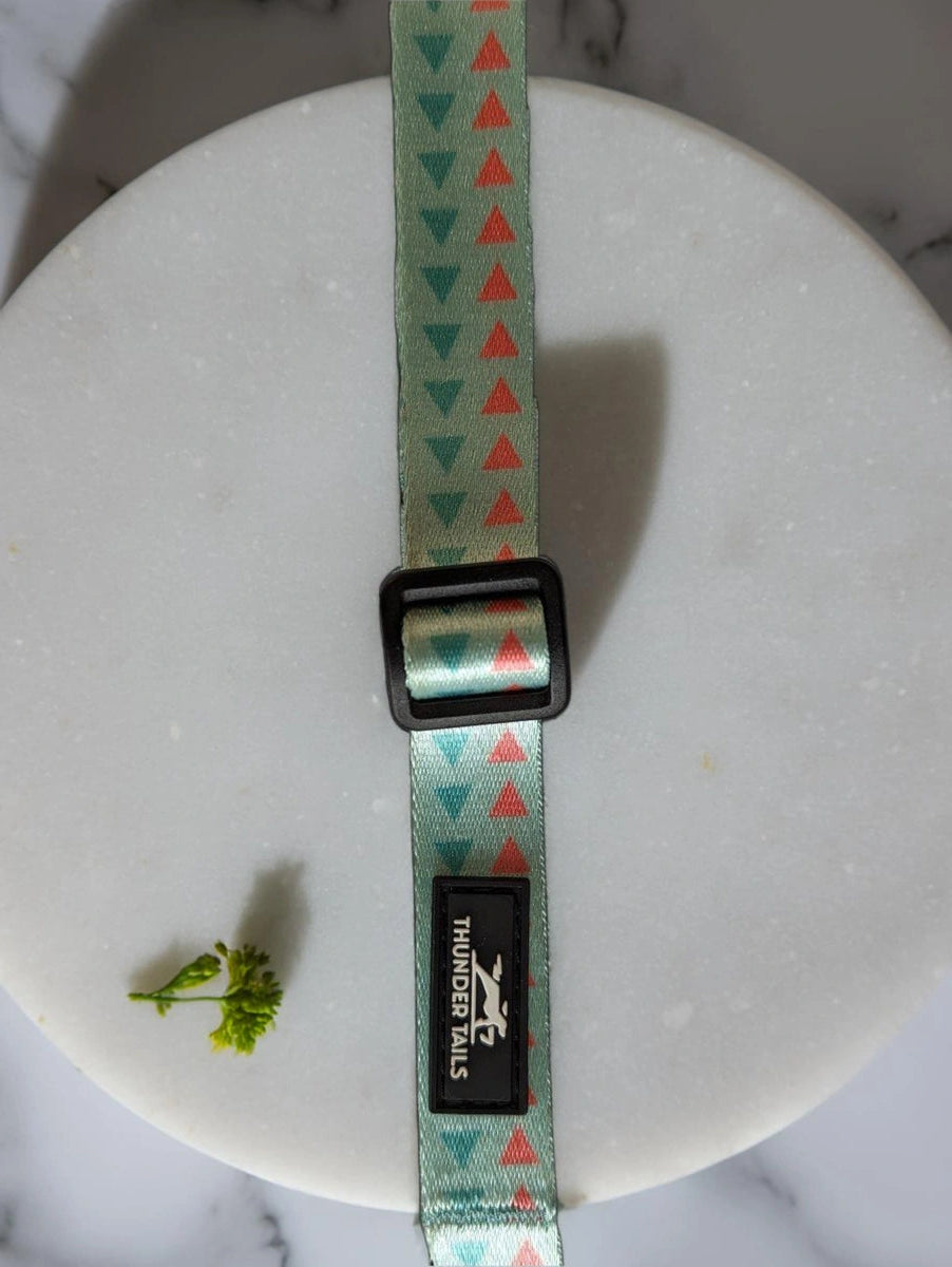 Thunder Tails Elite Nylon Printed Collars- Green/Pink Triangles