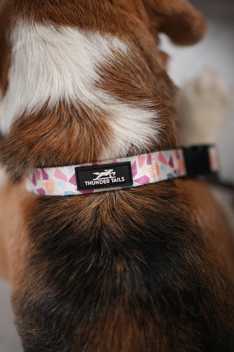 Thunder Tails Elite Nylon Printed Collars- Multi Colored Stones