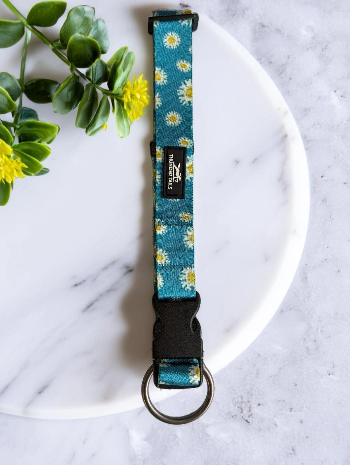 Thunder Tails Elite Nylon Printed Collars- Teal Floral