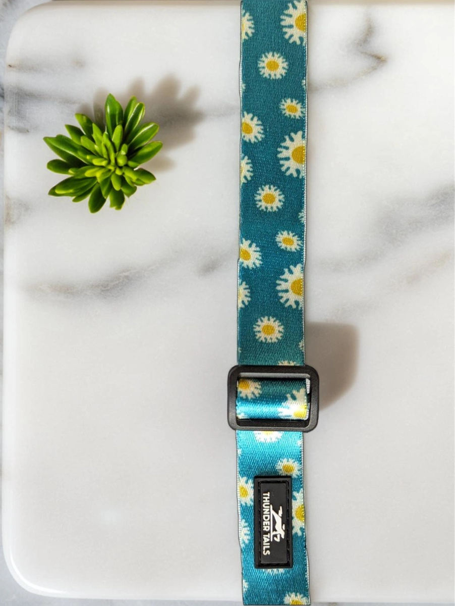 Thunder Tails Elite Nylon Printed Collars- Teal Floral