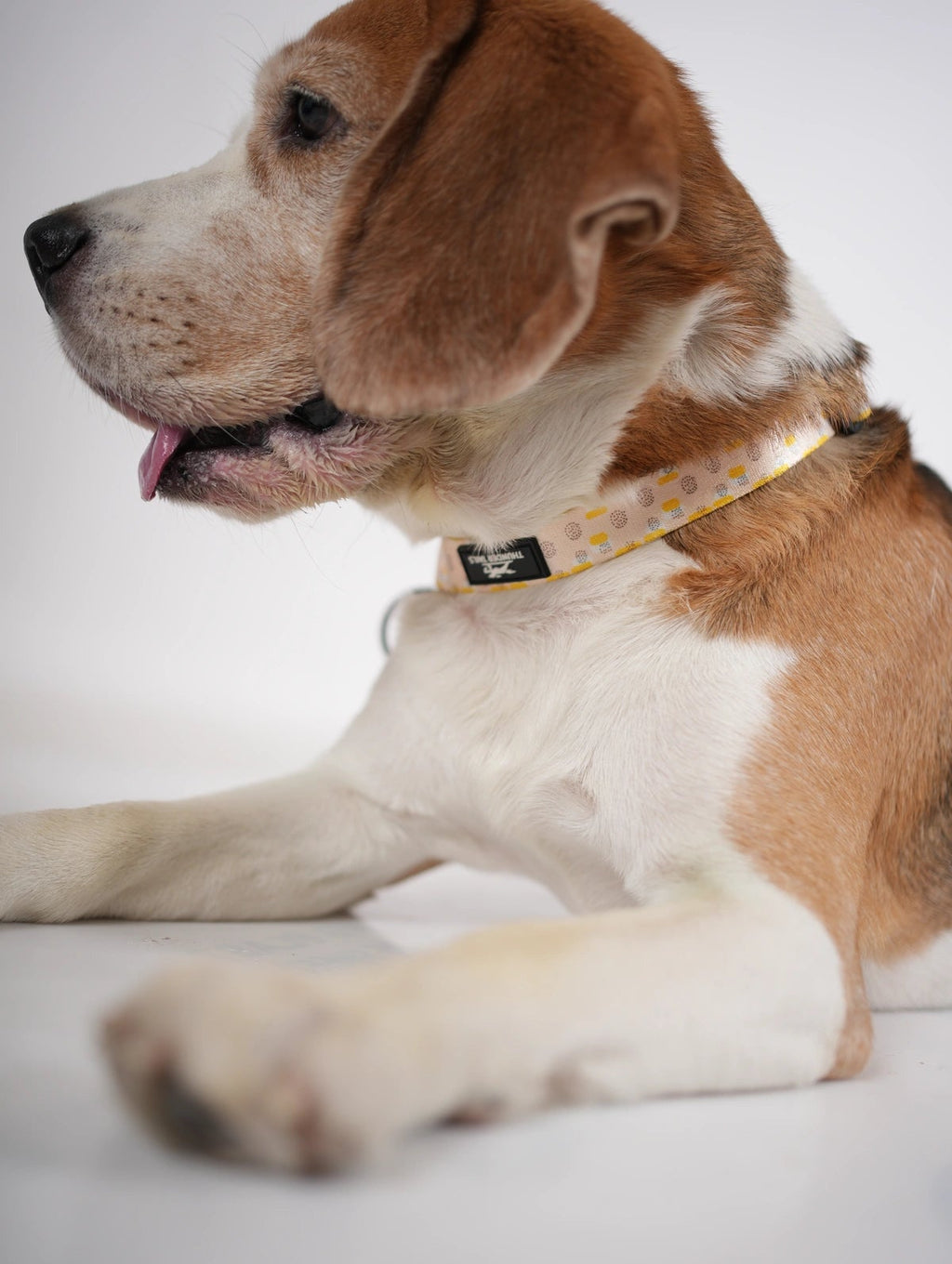 Thunder Tails Elite Nylon Printed Collars- Yellow Abstract Print