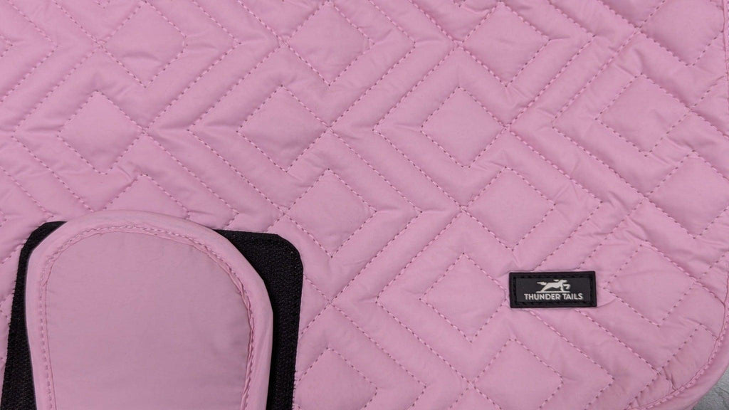 Thunder Tails Elite Street Jacket- Baby Pink - Thunder Tails