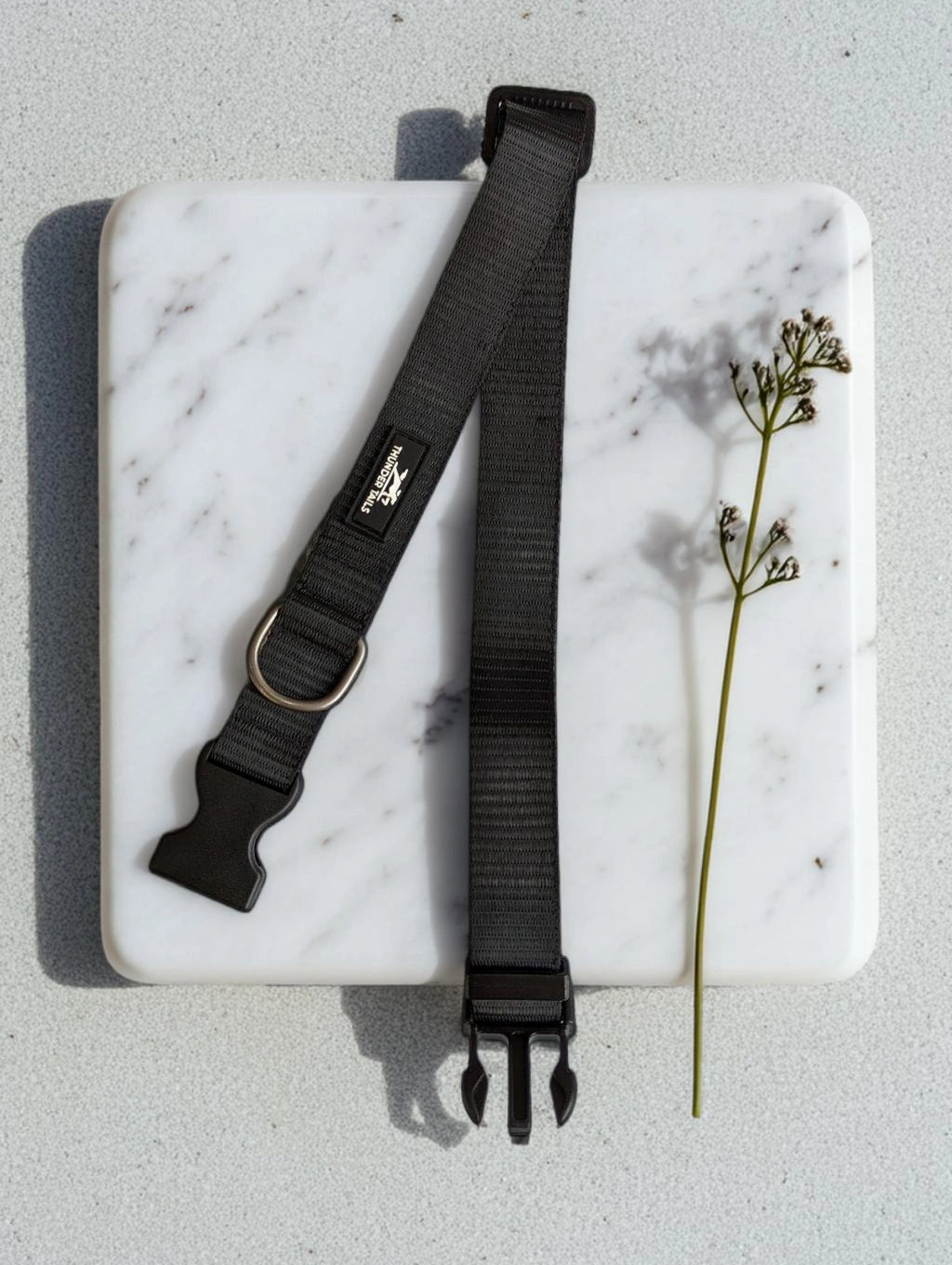 Thunder Tails Everyday Nylon Collars - Black