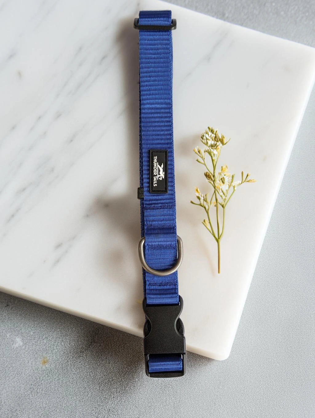 Thunder Tails Everyday Nylon Collars - Blue