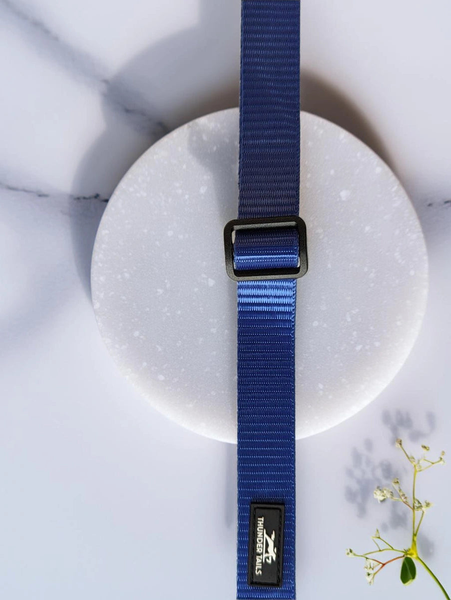 Thunder Tails Everyday Nylon Collars - Blue