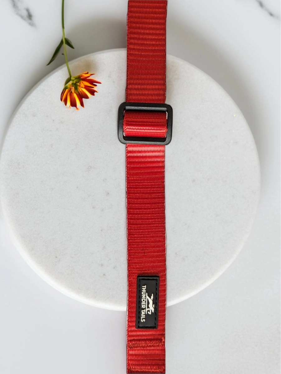 Thunder Tails Everyday Nylon Collars - Red