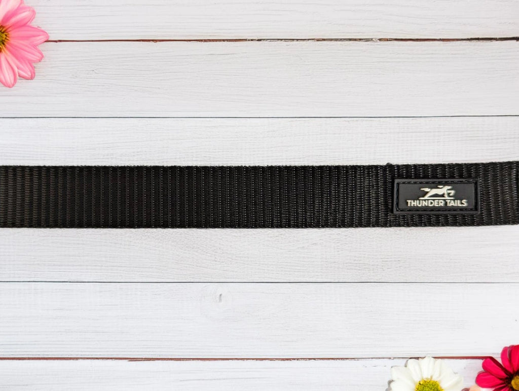 Thunder Tails Color Burst Nylon Leash