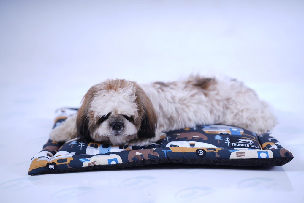 Thunder Tails 5-More-Minutes Dog Mats- Dark Grey Car Print