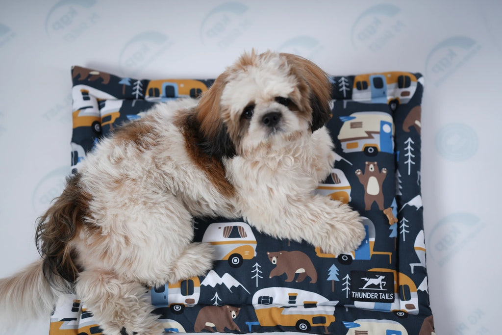 Thunder Tails 5-More-Minutes Dog Mats- Dark Grey Car Print