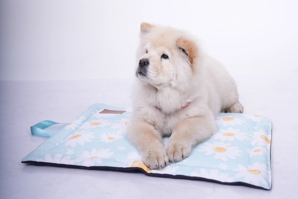 Thunder Tails 5-More-Minutes Dog Mats- Mint Floral Print