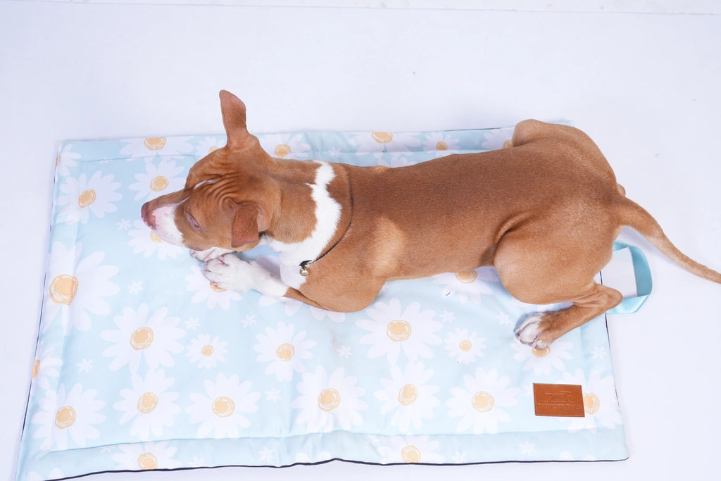Thunder Tails 5-More-Minutes Dog Mats- Mint Floral Print