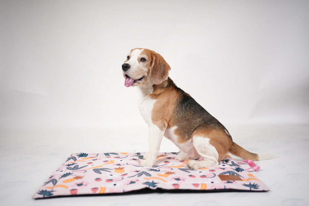 Thunder Tails 5-More-Minutes Dog Mats- Pink Floral Print