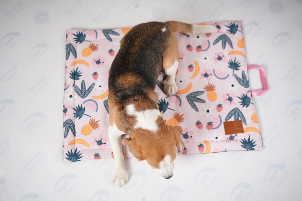 Thunder Tails 5-More-Minutes Dog Mats- Pink Floral Print