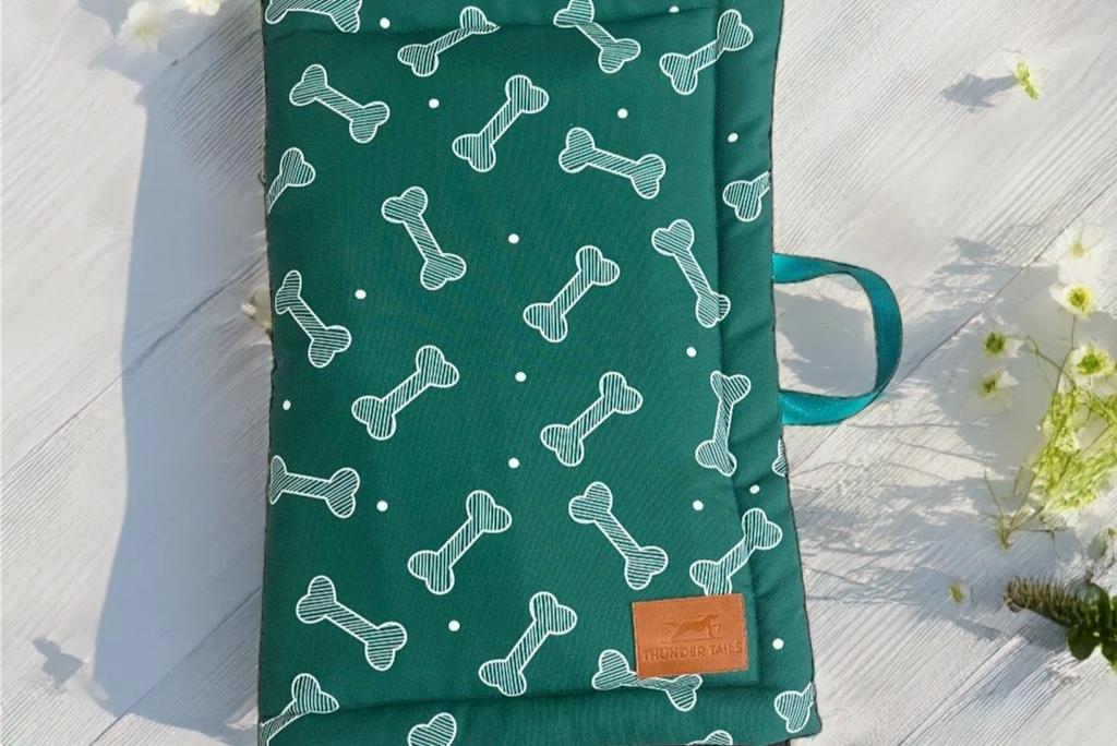 Thunder Tails 5-More-Minutes Dog Mats- Teal Bone Print