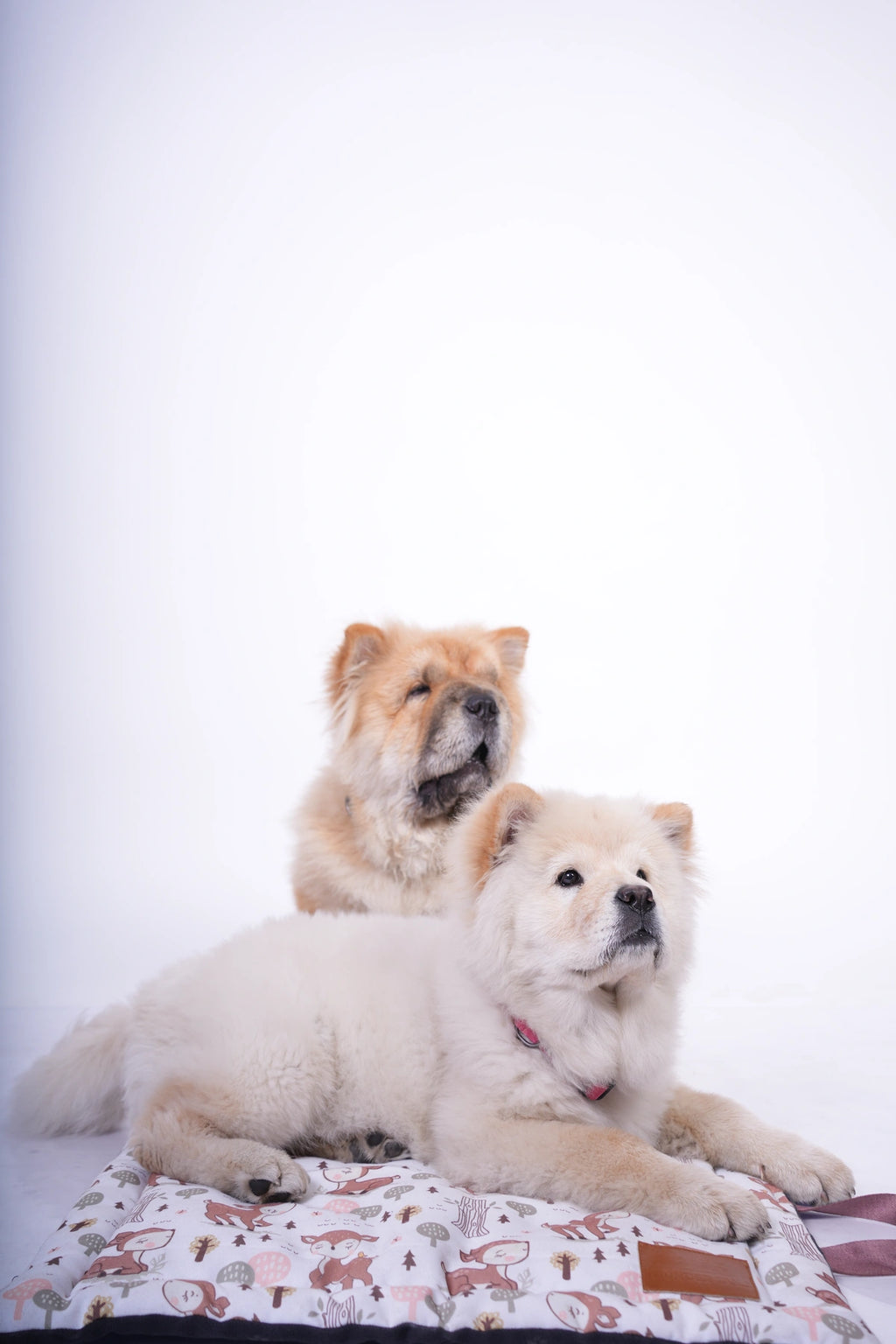 Thunder Tails 5-More-Minutes Dog Mats- Deer Print